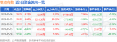 股票行情快报：零点有数（301169）6月6日主力资金