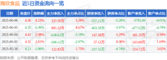 股票行情快报：海欣食品（002702）6月6日主力资金