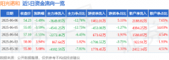 阳光诺和（688621）6月6日主力资金净卖出364983万元