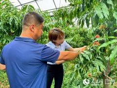 金融助农果飘香