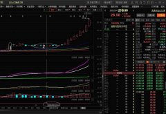 日本散户数量创历史新高
