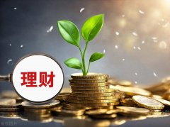 ST八菱： 关于增加闲置自有资金购买理财产品额