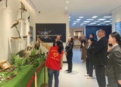 农行大理分行:“青年行动+绿色金融”共绘生态