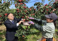 武乡农商行精准服务绘就普惠金融新画卷