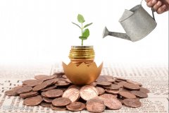 海量财经丨小米集团连续两日8亿回购后雷军个人